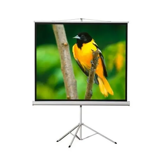 Peak T100 200×200(100inch)Tripod Projeksiyon Perdesi